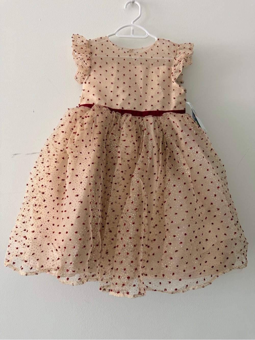 Blueberi Boulevard Little Girl Christmas Dress Goldβ Red Shimmer Tulle Teared 6X